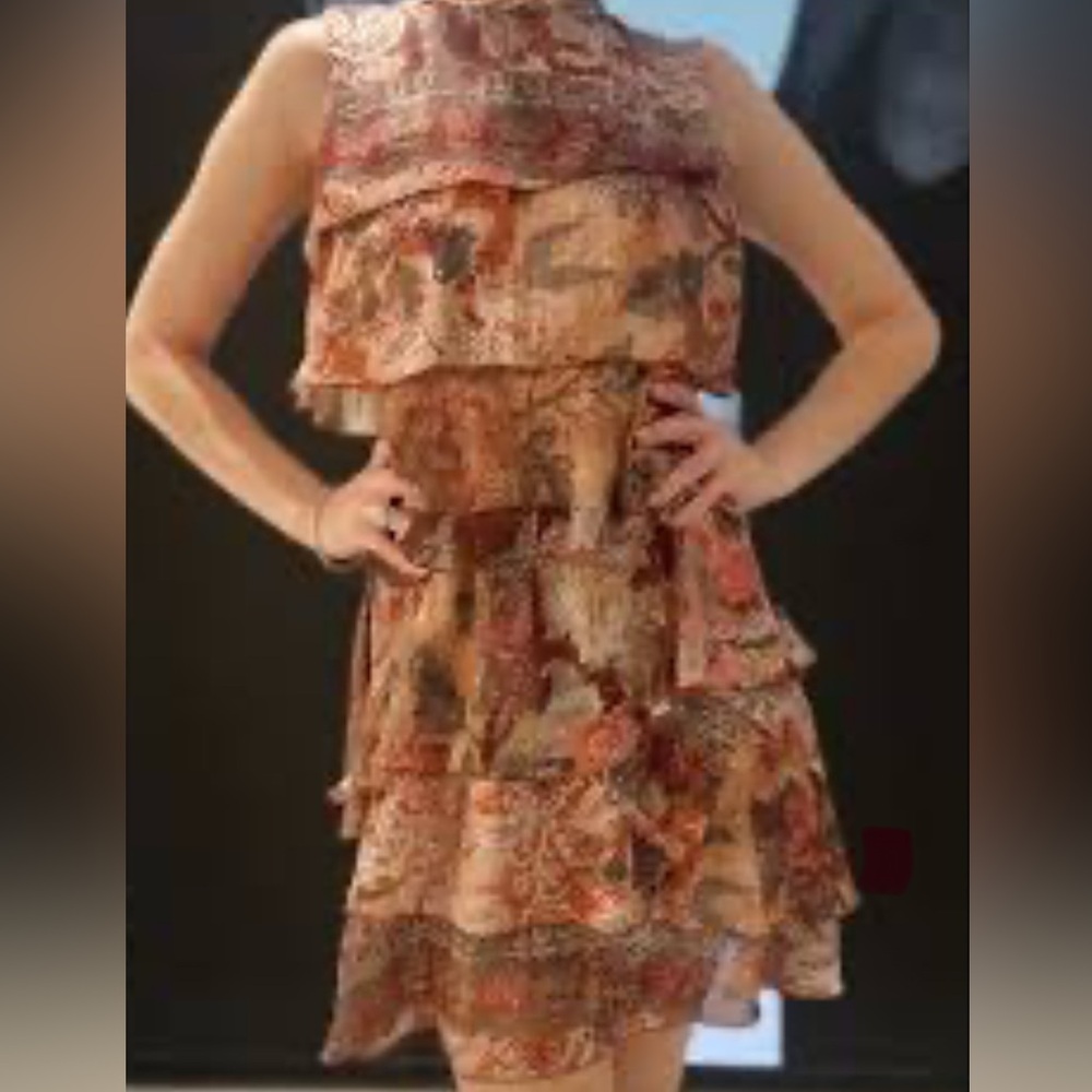Zara ruffle dress